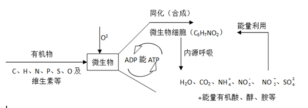 異味處理系統(tǒng)_副本.png